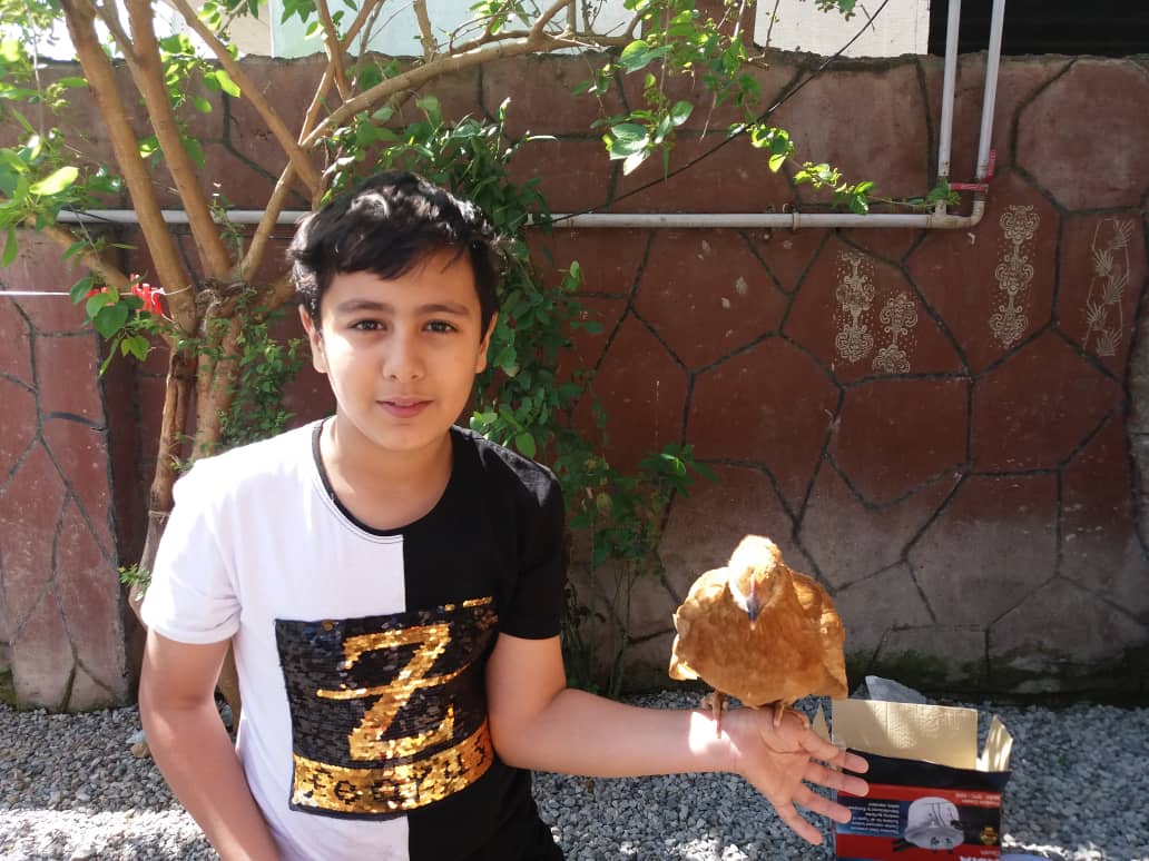 جوان ناکام سید امیرعلی حسینی